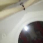 La Perversa grabándose singando