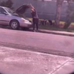 Rubia boricua nalgona en la vía publica