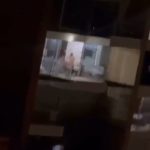 Karol G video intimo filtrado